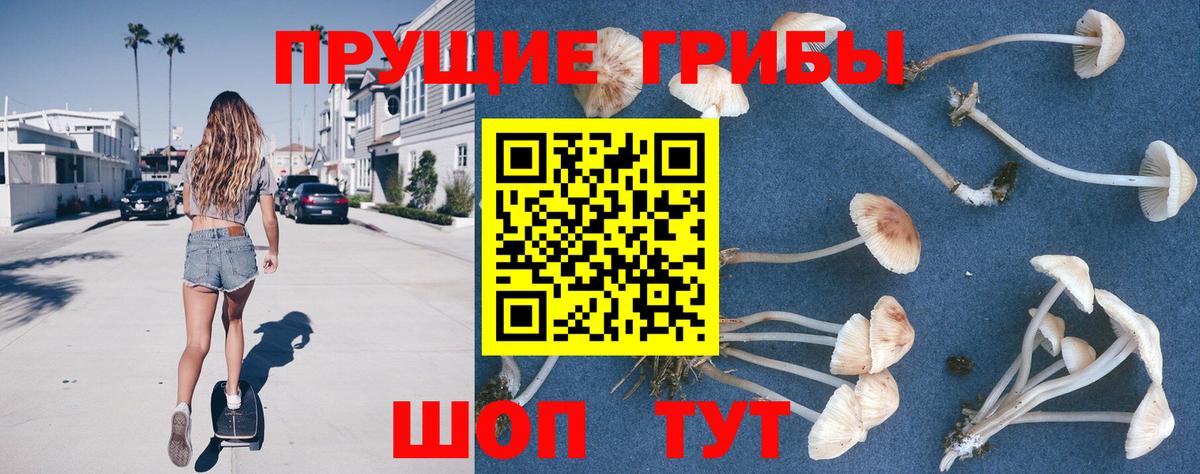 Кандалакша  Псилоцибиновые грибы мухоморы  Вход с VPN 
