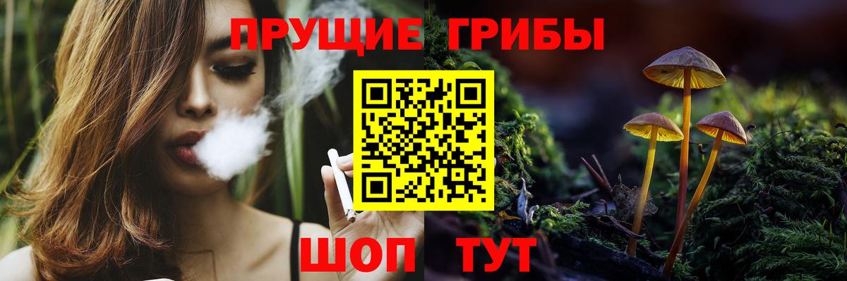 Псилоцибиновые грибы Psilocybine cubensis Кандалакша